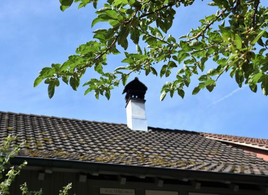 Seuzach: Stattlicher Kaminhut für ein Bauernhaus