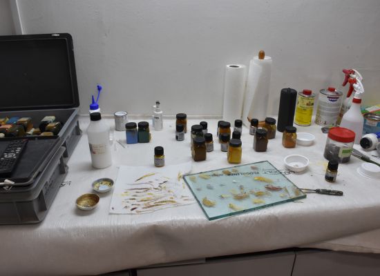 MARIEN-STATUE FÜR HERZ-JESU-KIRCHE DAVOS